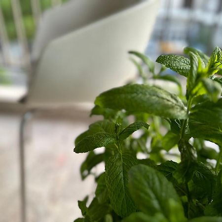 Bright Studio 4 A Short Stay Near Oaka - Iaso - Ygeia - Mitera Hospitals Атина Екстериор снимка